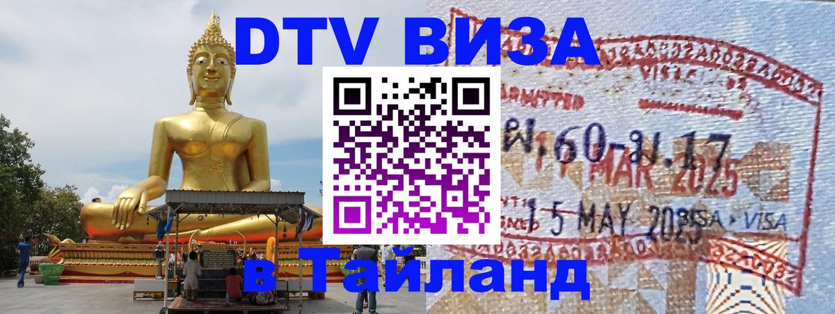 Сколько стоит DTV виза — актуальные цены, оформление даже без документов - 08.12.2025 